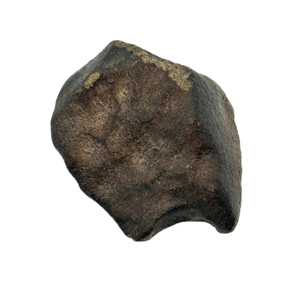 Eucrite Meteorite